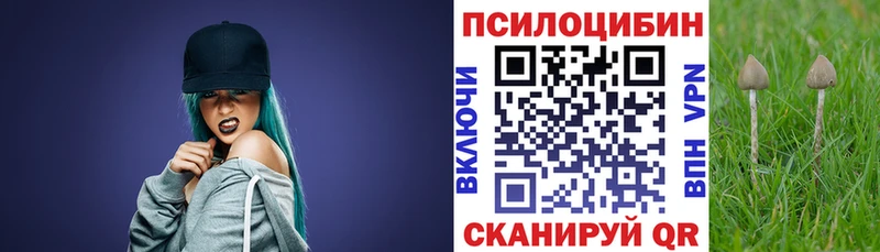 Галлюциногенные грибы GOLDEN TEACHER Купить закладки Мантурово