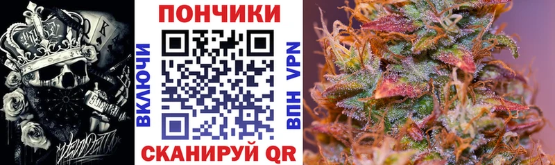 Купить где Мантурово Бошки марихуана сатива